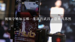 视频守婚如玉哪一集演的武昌于总来找苏然