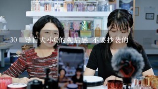 30 导盲犬小Q的观后感 不要抄袭的