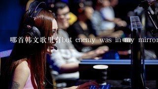 哪首韩文歌里有but enemy was in my mirror，是被狮子狗抓哭的女主播的后续