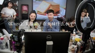 《Csgo》主播茄子在天禄什么水平？