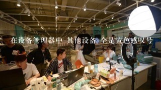 在设备管理器中 其他设备 全是黄色感叹号