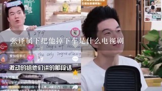 张译属下把他掉下车是什么电视剧