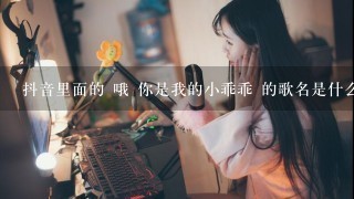 抖音里面的 哦 你是我的小乖乖 的歌名是什么呢