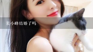 裴小峰结婚了吗