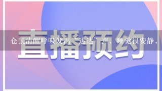 仓鼠清醒呼吸发出“达达”声，睡觉很安静，但是侧睡！求救