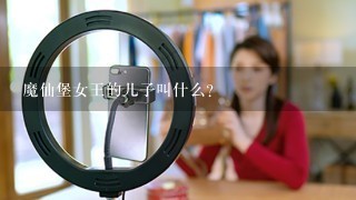 魔仙堡女王的儿子叫什么？