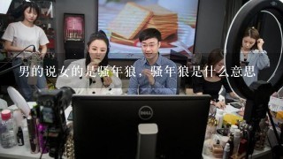 男的说女的是骚年狼，骚年狼是什么意思