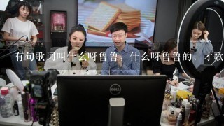 有句歌词叫什么呀鲁鲁，什么呀鲁鲁的，才歌名