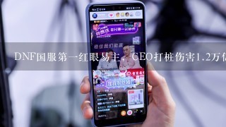 DNF国服第1红眼易主，CEO打桩伤害1.2万亿，超越旭旭宝宝8479亿，如何评价？