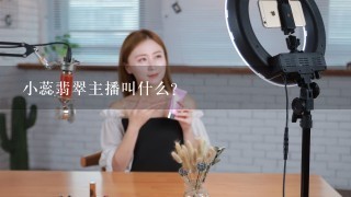 小蕊翡翠主播叫什么?