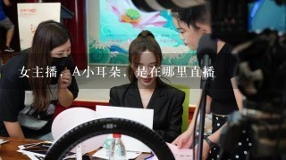 女主播，A小耳朵，是在哪里直播