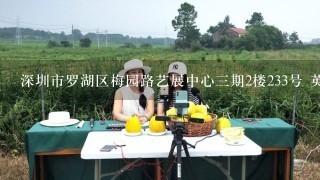 深圳市罗湖区梅园路艺展中心3期2楼233号 英文怎么翻译