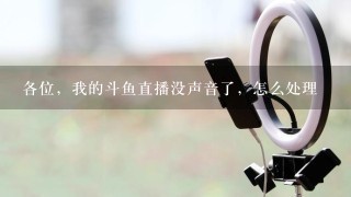 各位，我的斗鱼直播没声音了，怎么处理