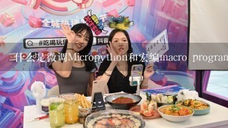 什么是微调Micropython和宏编macro